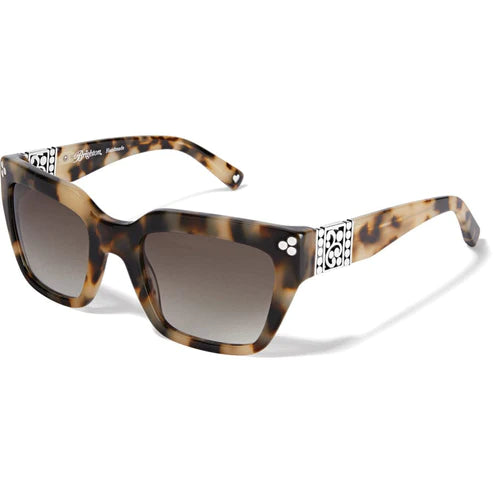 Brighton | Contempo Dot Sunglasses - preenteronline