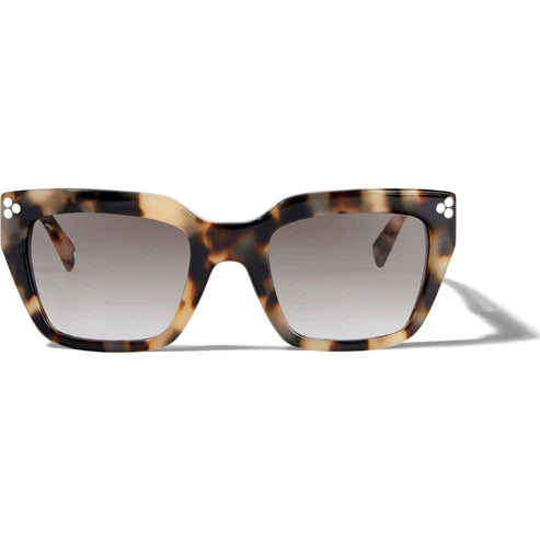 Brighton | Contempo Dot Sunglasses - preenteronline