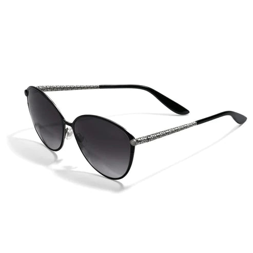 Brighton | Ferrara Gatta Sunglasses in Black - preenteronline