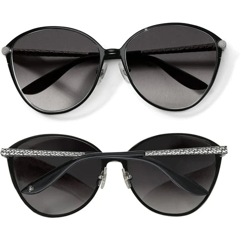 Brighton | Ferrara Gatta Sunglasses in Black - preenteronline