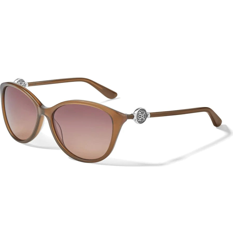 Brighton | Ferrara Sunglasses in Brown - preenteronline