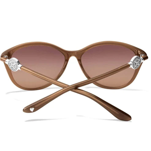 Brighton | Ferrara Sunglasses in Brown - preenteronline