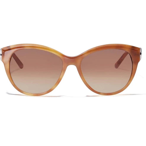 Brighton | Interlok Braid Sunglasses in Amber Brown - preenteronline