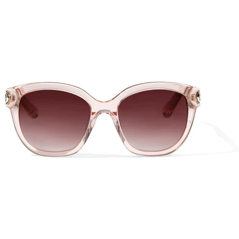 Brighton | Intrigue Sunglasses in Rosewater Pink - preenteronline