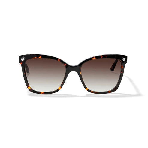 Brighton | Pretty Tough Pierced Stud Sunglasses - preenteronline