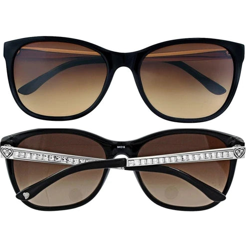 Brighton | Spectrum Sunglasses in Black - preenteronline